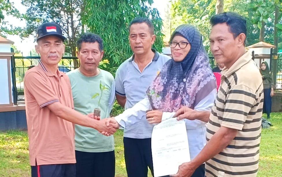 Hari Ini DP3ACSKB Babel Tanam 100 Bibit Cabai