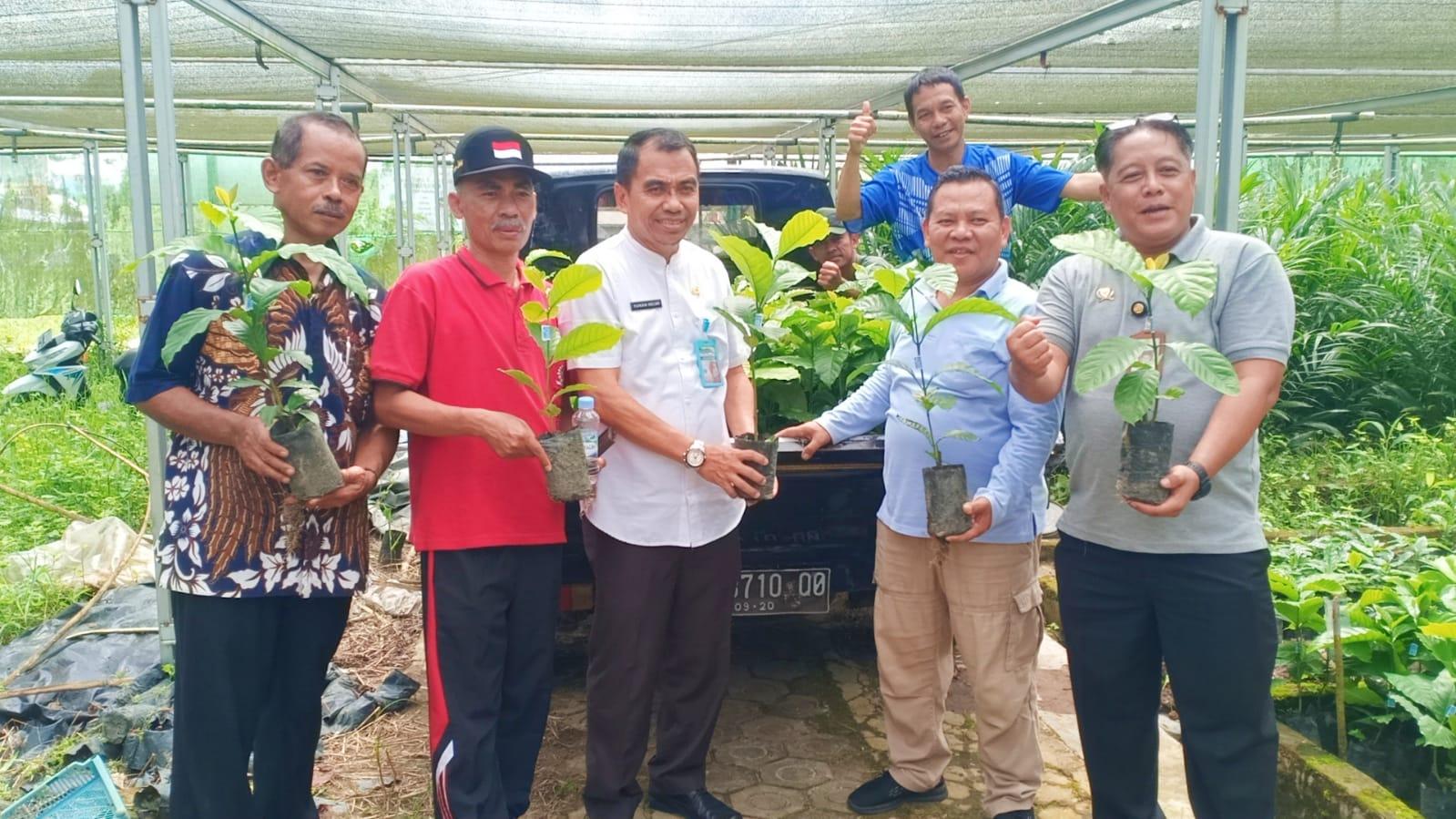 Dukung Pengembangan Komoditas Kopi, Asyraf Konsultasi ke Ahlinya