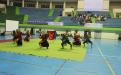 Pertunjukan seni dan tari